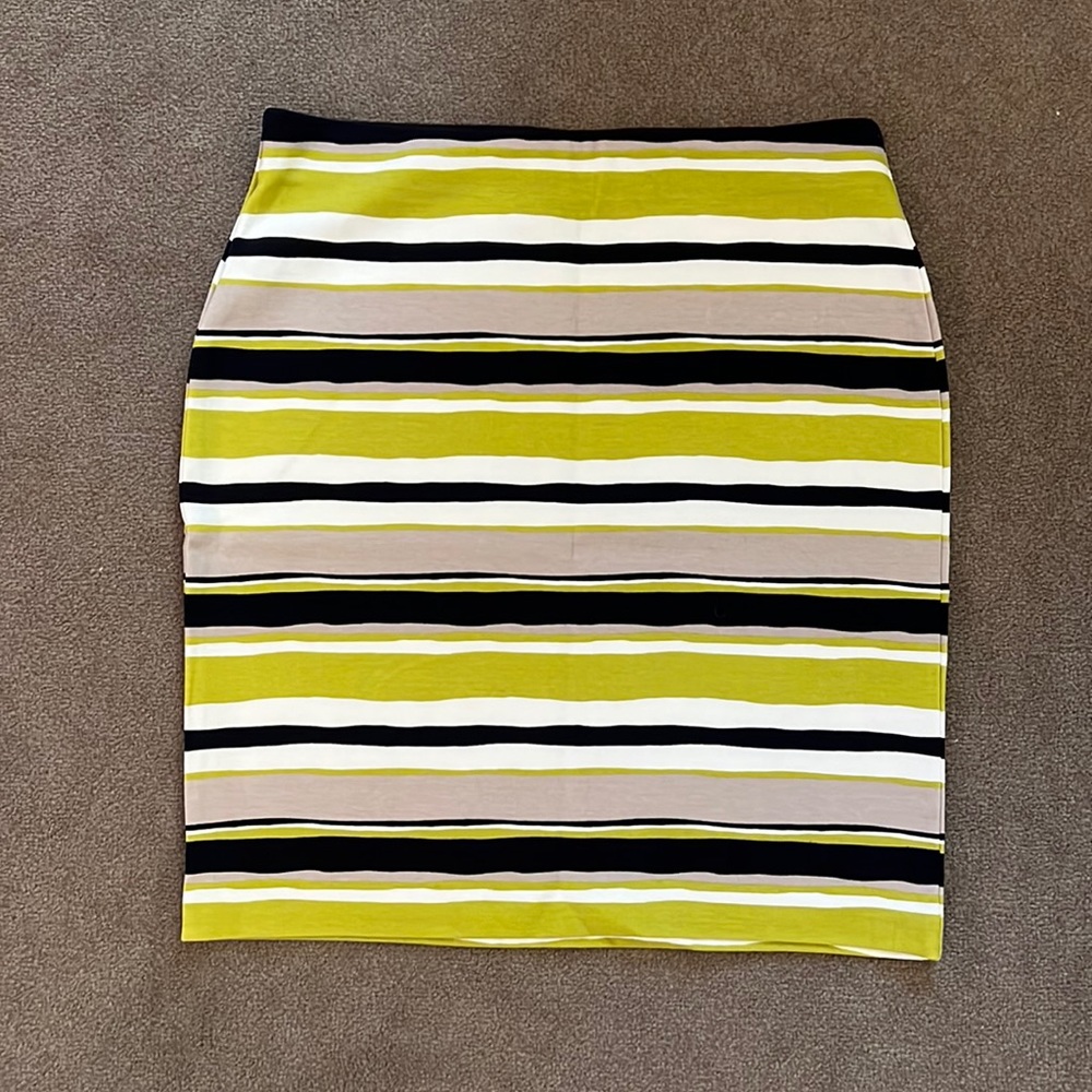 Ann Taylor Skirt